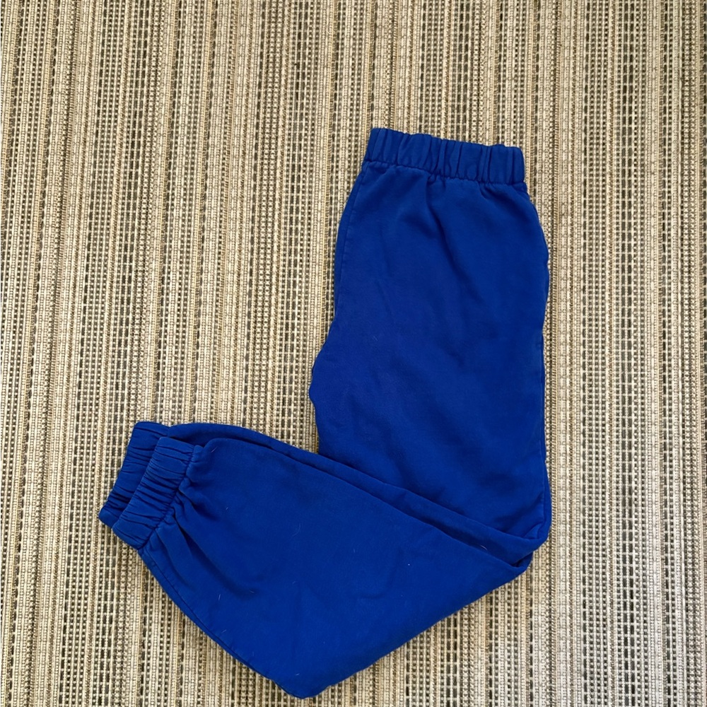 Brandy Melville Royal Blue Joggers
